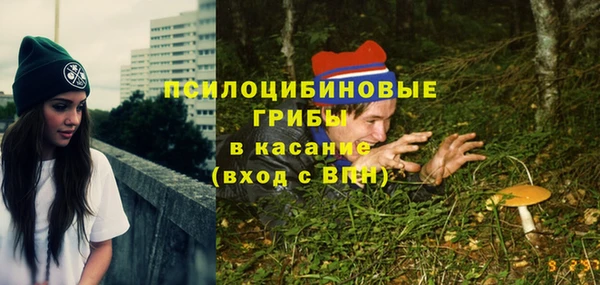 ГАЛЛЮЦИНОГЕННЫЕ ГРИБЫ Коряжма