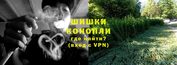 ГАЛЛЮЦИНОГЕННЫЕ ГРИБЫ Коряжма