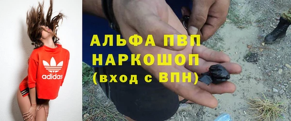 молекула духа Корсаков