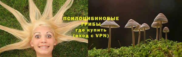 PSILOCYBIN Кодинск