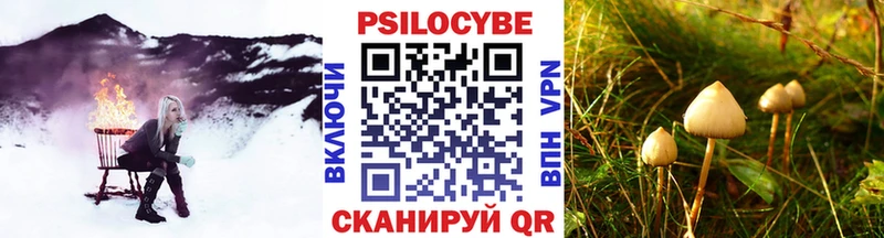 Купить закладки  Новосокольники  Галлюциногенные грибы Psilocybine cubensis 